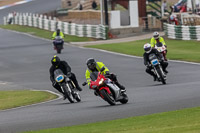 Vintage-motorcycle-club;eventdigitalimages;mallory-park;mallory-park-trackday-photographs;no-limits-trackdays;peter-wileman-photography;trackday-digital-images;trackday-photos;vmcc-festival-1000-bikes-photographs